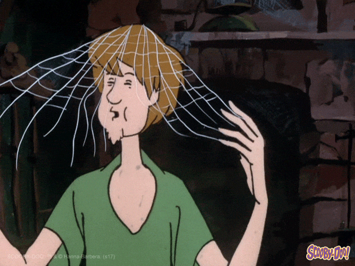 Scooby-Doo GIF